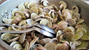 fresh-steamed-clams-senj-klada              